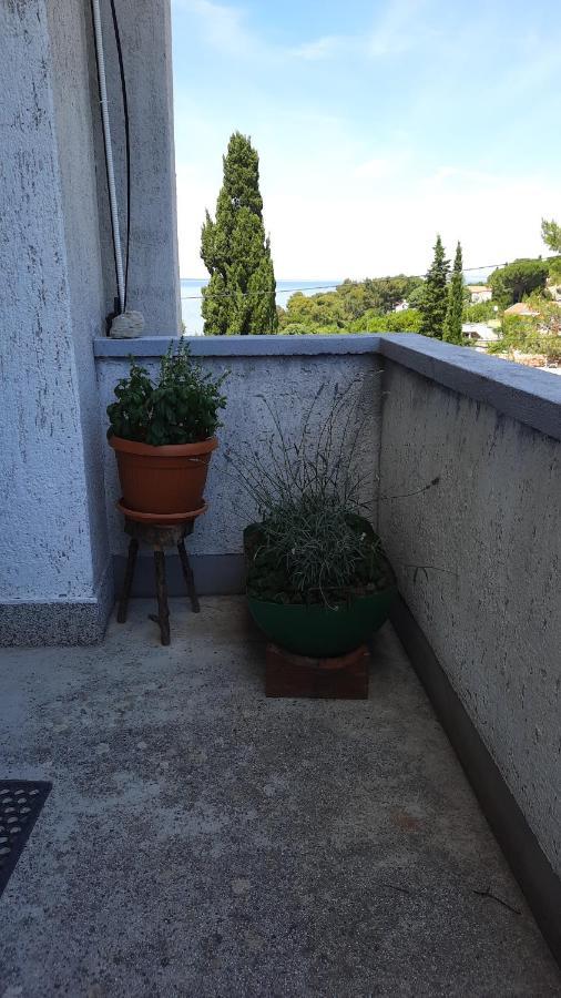 Apartment Pinoapplosinj Veli Lošinj Kültér fotó