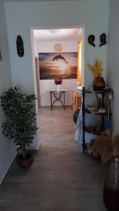 Apartment Pinoapplosinj Veli Lošinj Kültér fotó